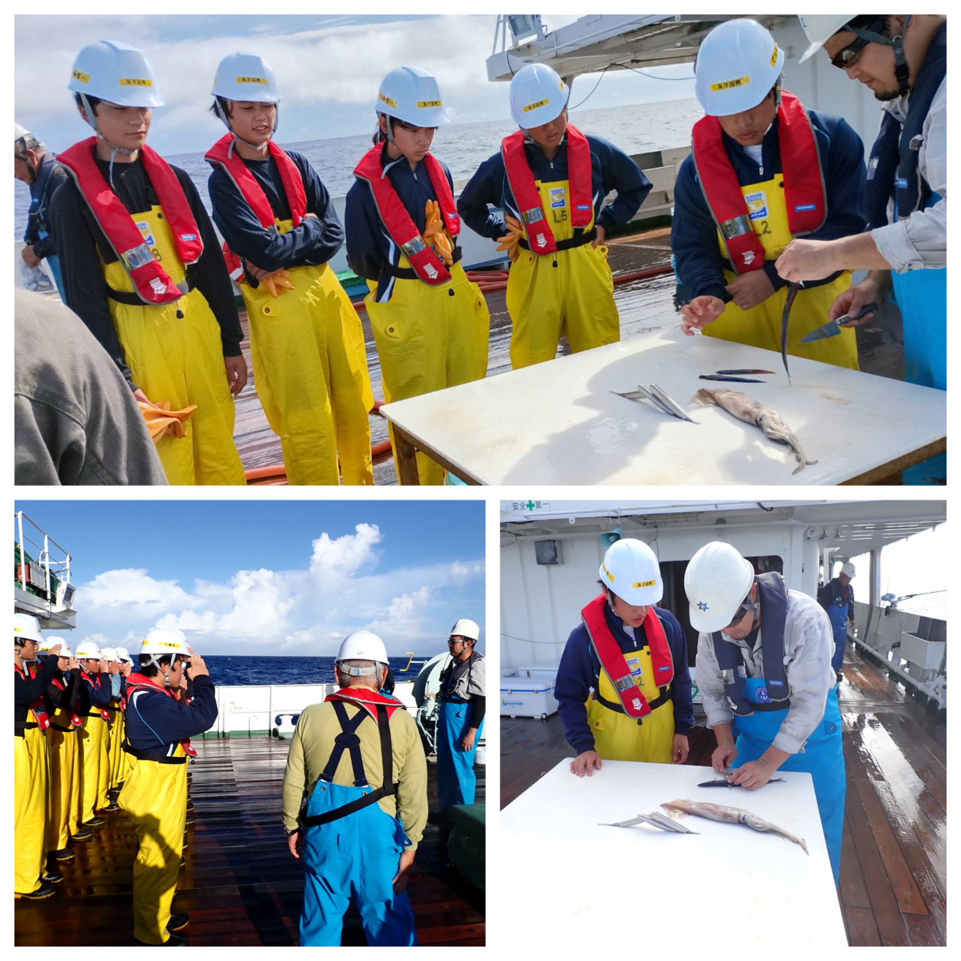 Blank 3 Grids Collage - 2025-10-27T133435.396